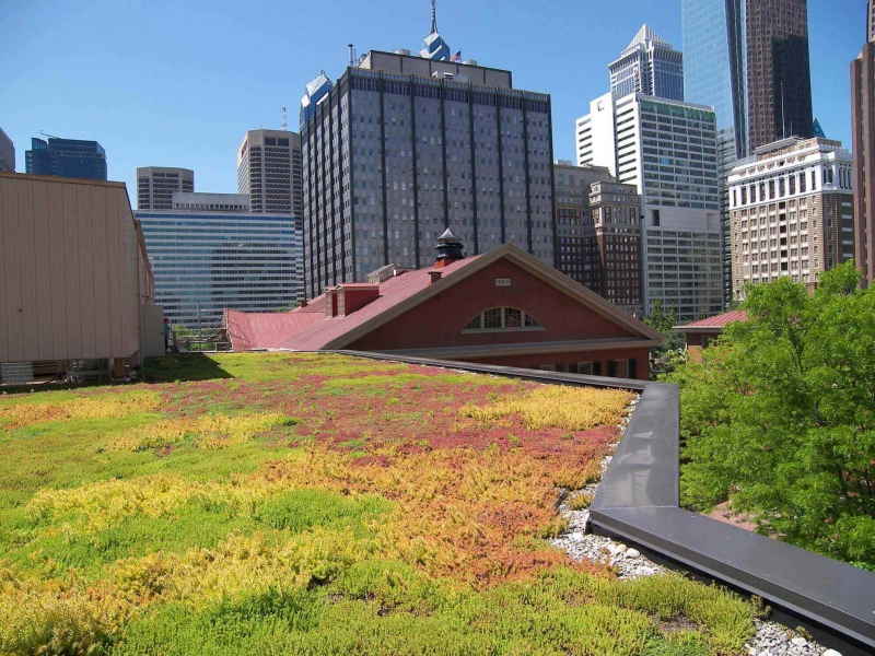 paysagiste-LE LAVANDOU-min_green-roof-portfolio-4